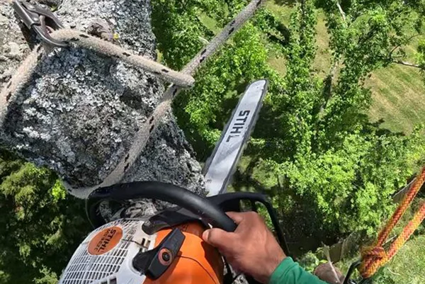 JRM Tree Service Care For Life LLP's other services JRM Tree Service Care For Life LLP's other services