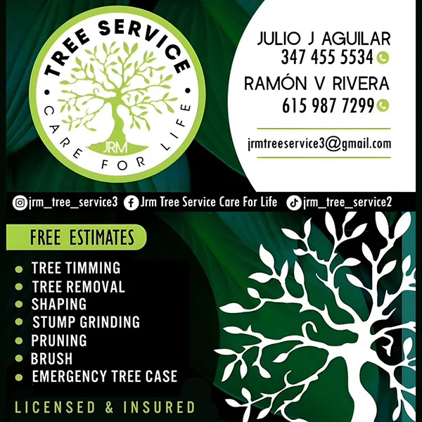 Professional Tree Contractor Professional Tree Contractor