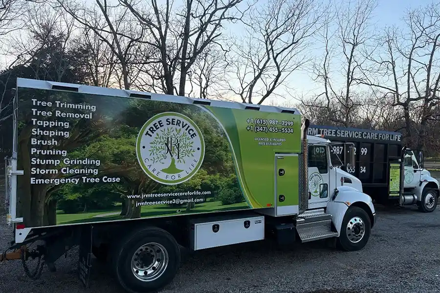 Professional Tree Expert in Lebanon TN