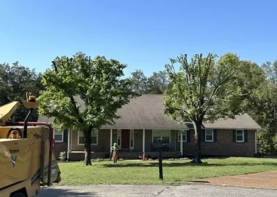 Professional Tree Service
