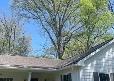 Reliable Tree Expert
