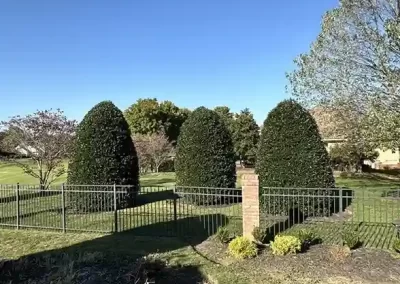 Reliable Tree Expert