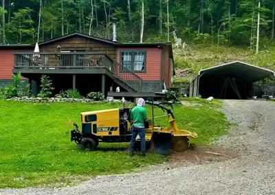 Reliable Tree Expert