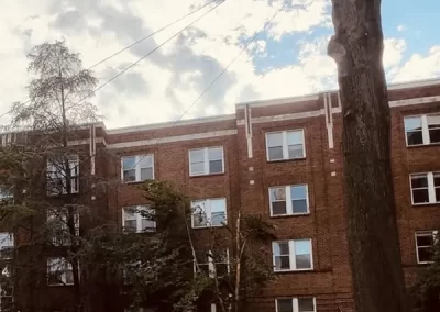 Reliable Tree Expert