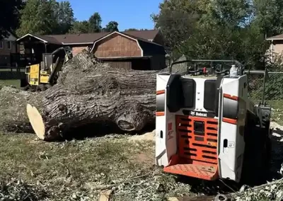 Reliable Tree Expert
