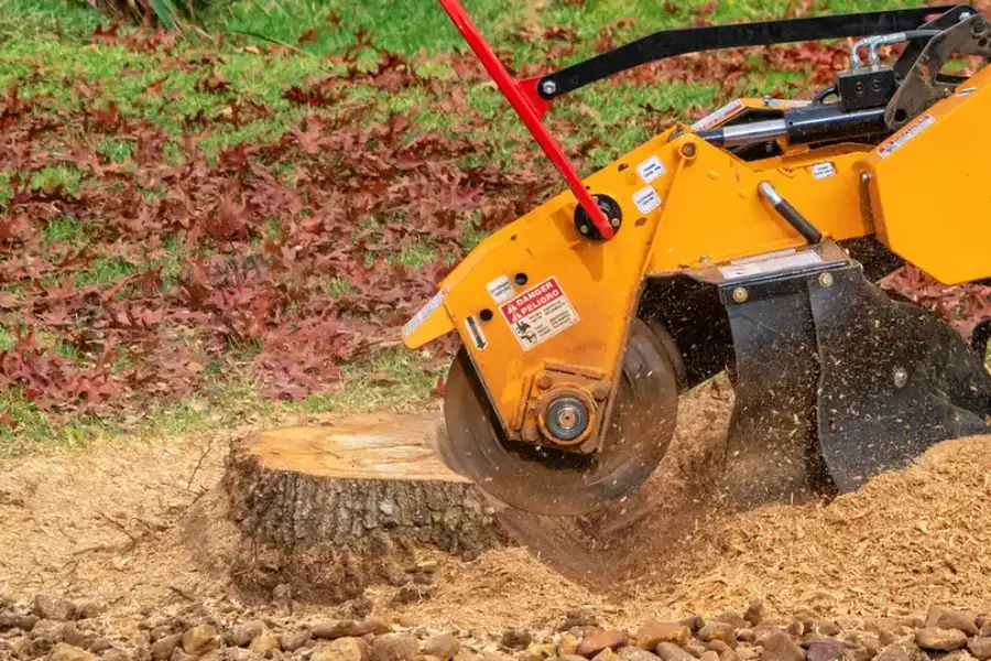 Affordable Stump Grinding Service Lebanon, TN