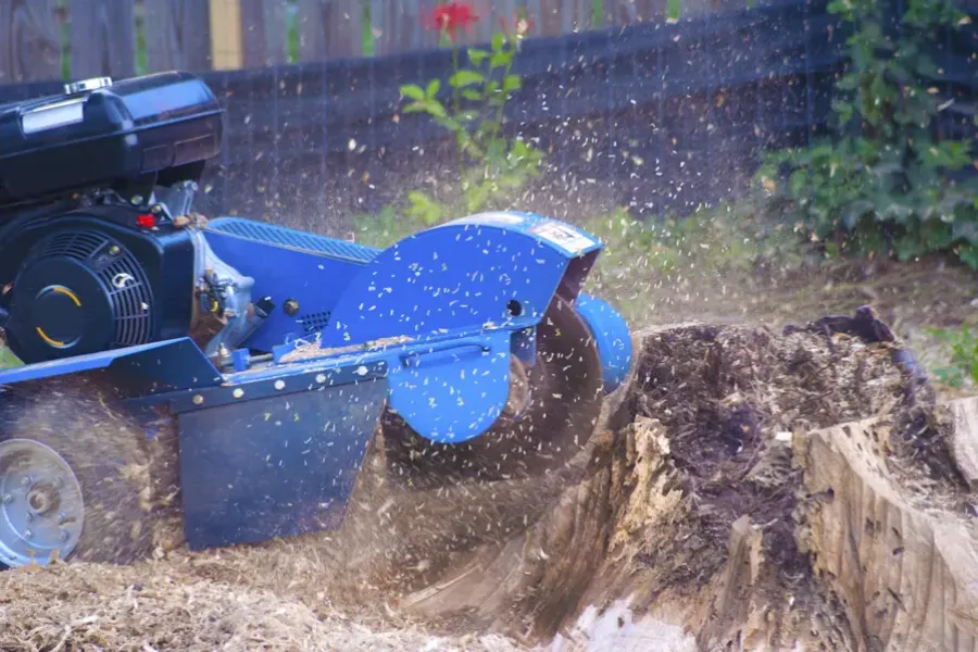 Excellent Stump Grinding Service Lebanon, TN