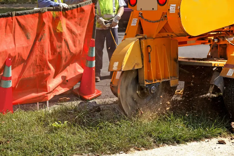 Experienced Stump Grinding Service Lebanon, TN